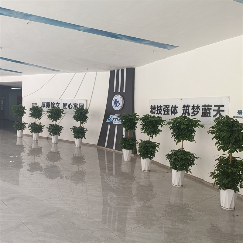 校园环境